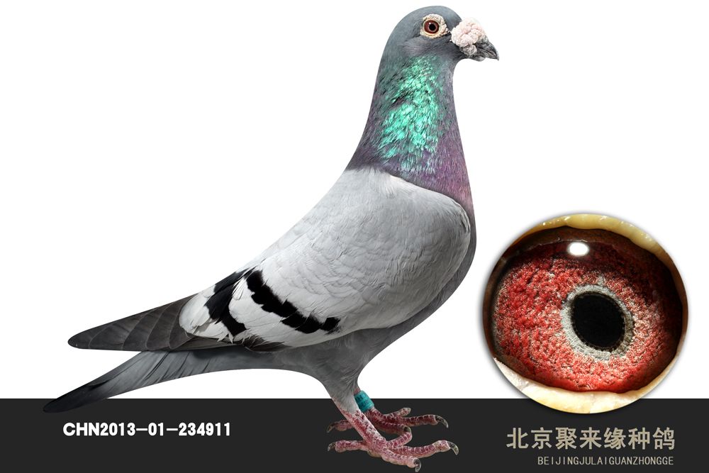 >> 查看拍卖商品