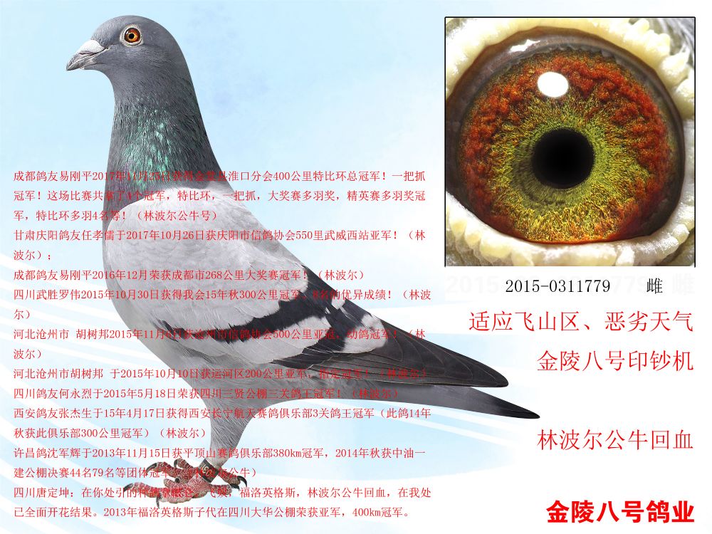 >> 查看拍卖商品