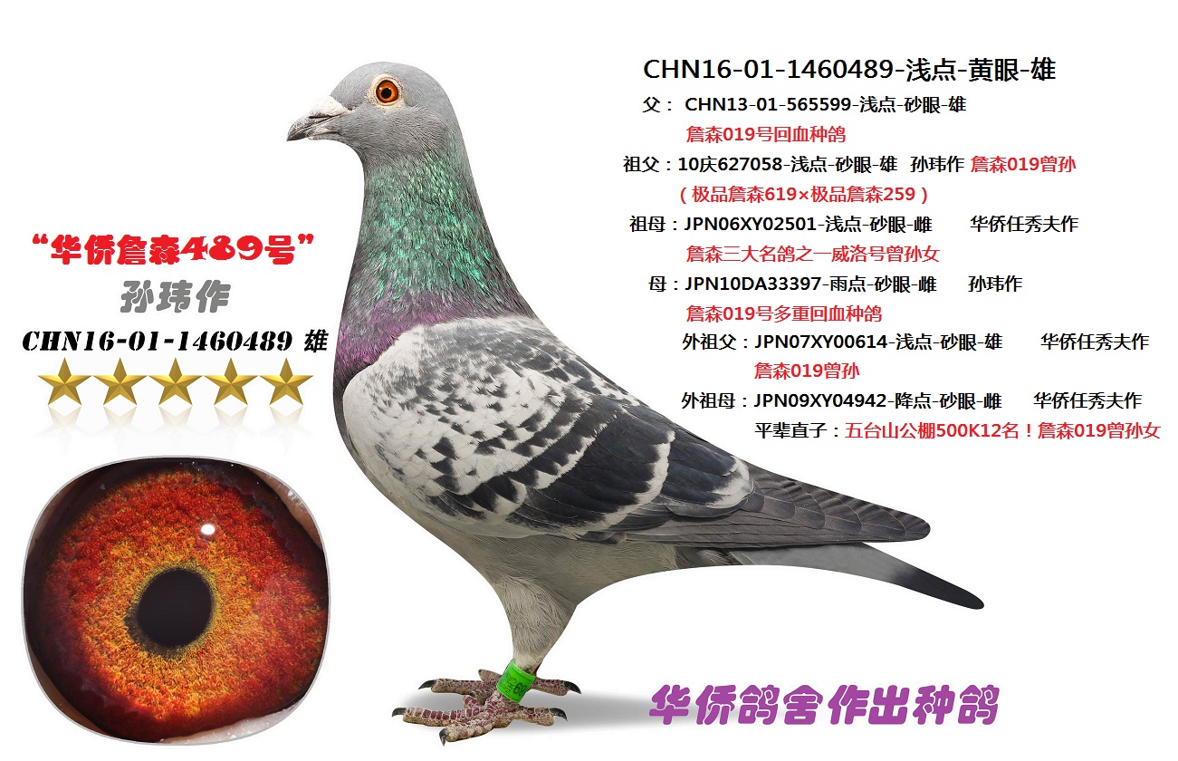 >> 查看拍卖商品