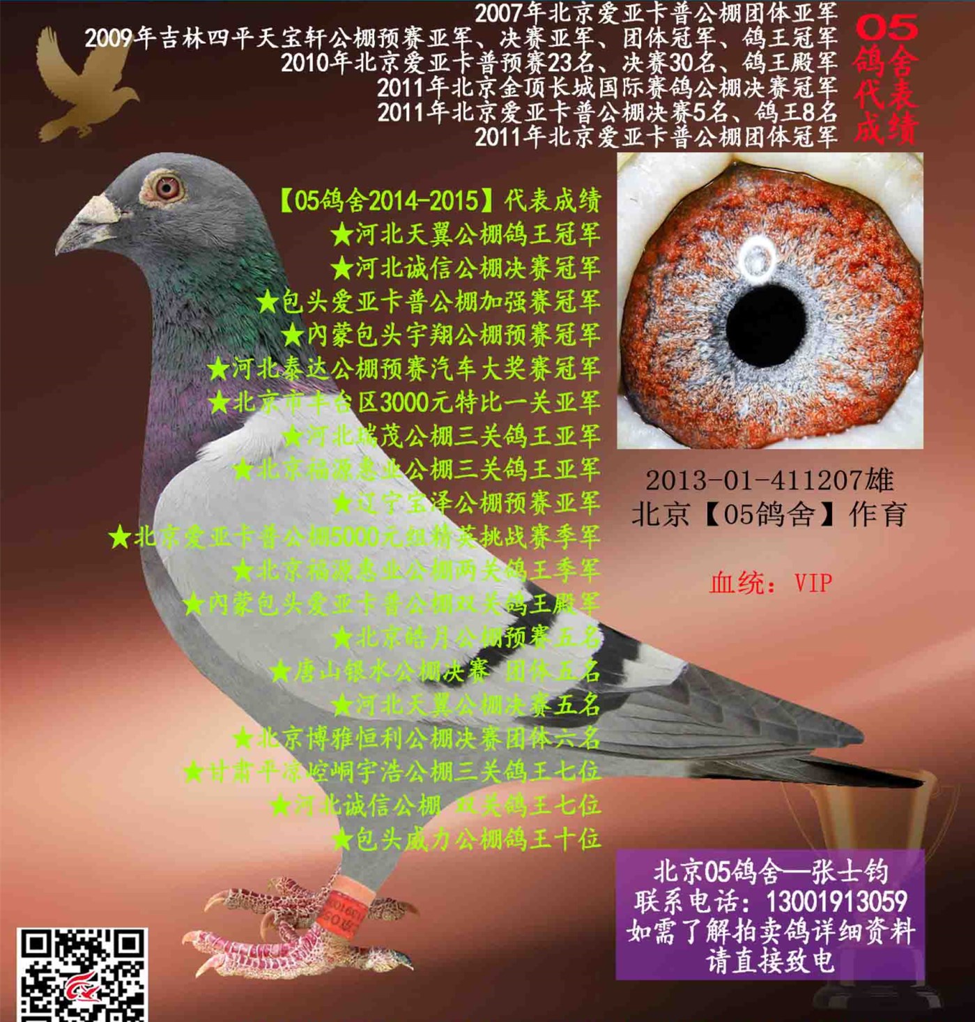 信鸽在线拍卖平台 - 中国信鸽信息网
