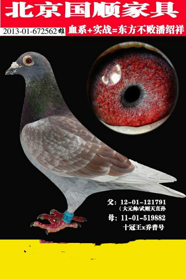 >> 查看拍卖商品