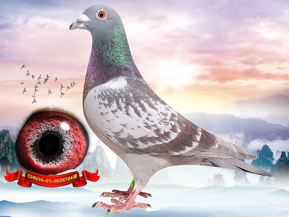 注意直达无法到达的,需要中转的,中转一切费用自付.