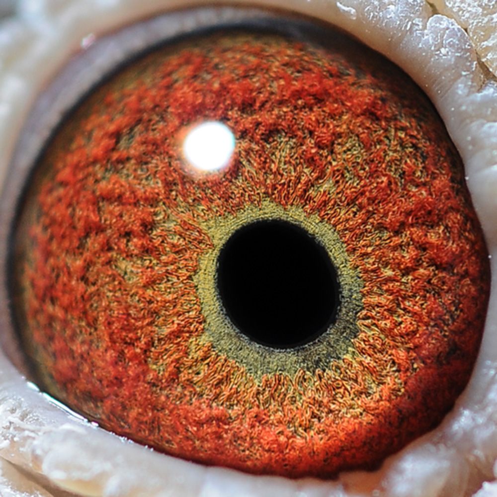 >> 查看拍卖商品