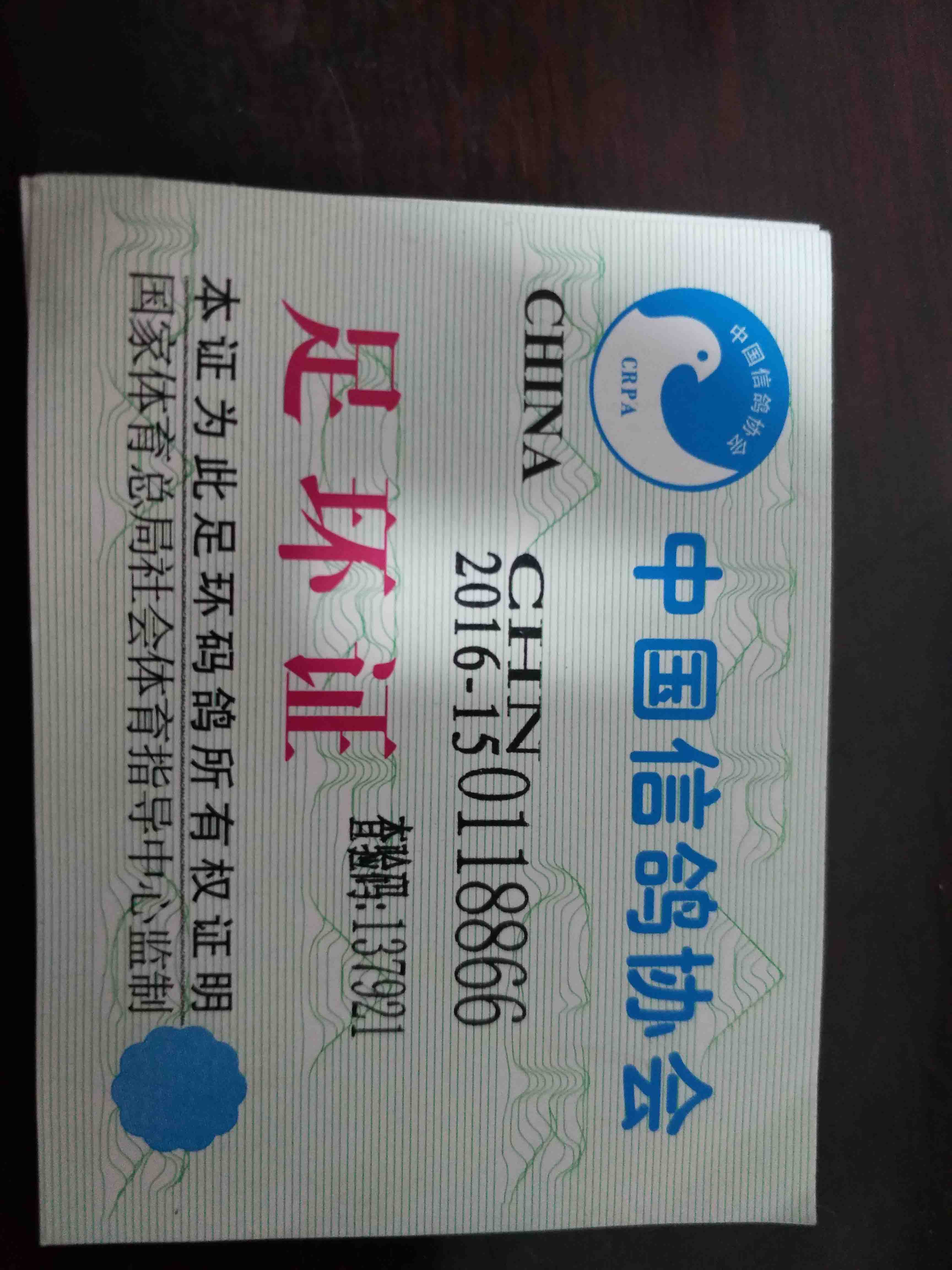 >> 查看拍卖商品