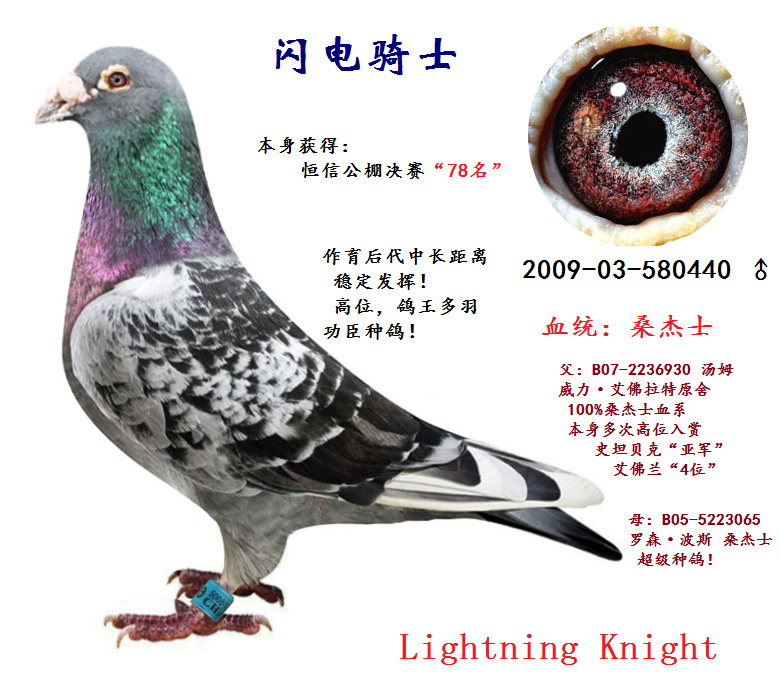 >> 查看拍卖商品