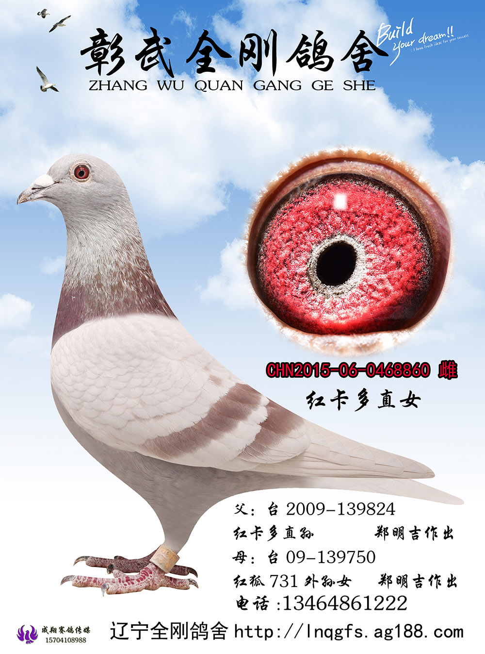 >> 查看拍卖商品