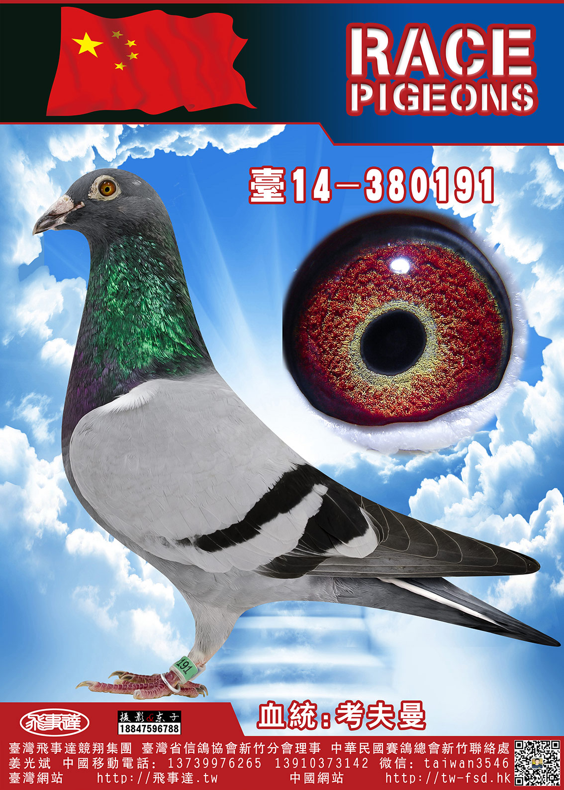 >> 查看拍卖商品