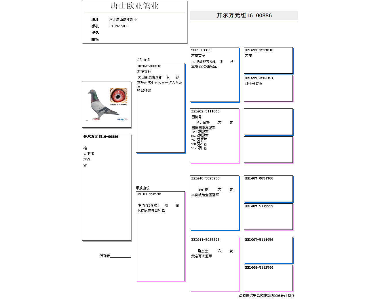>> 查看拍卖商品