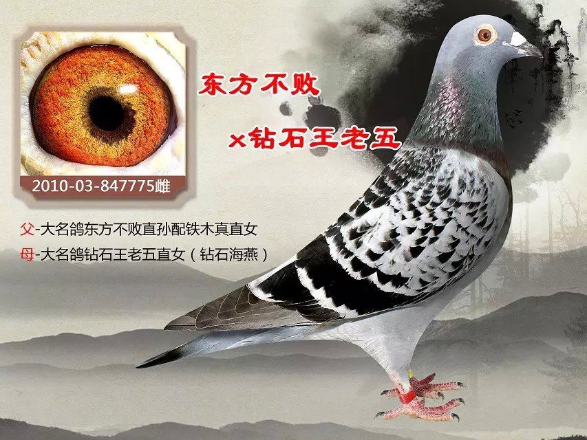 >> 查看拍卖商品
