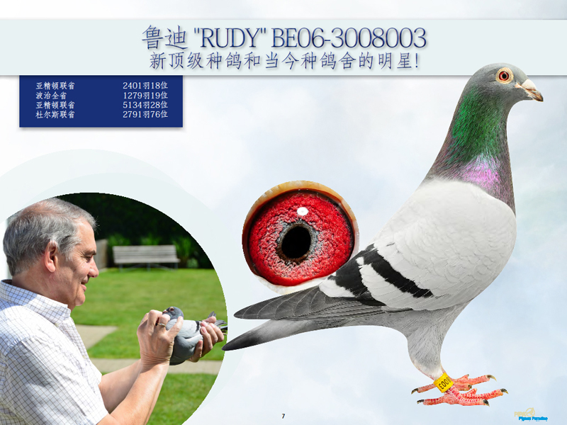 >> 查看拍卖商品