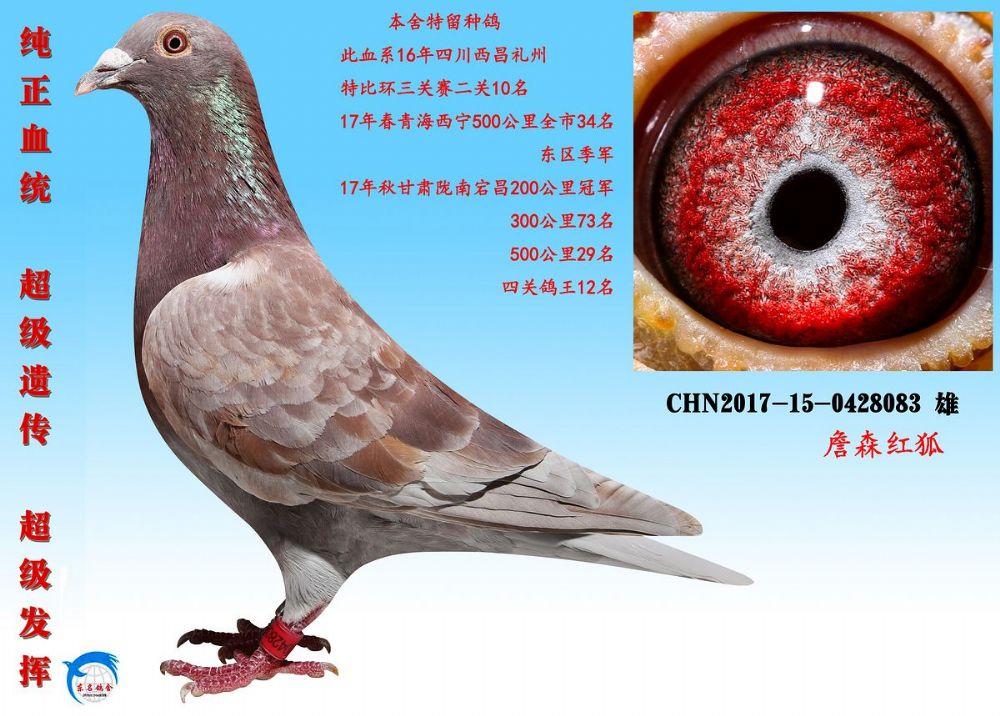 >> 查看拍卖商品