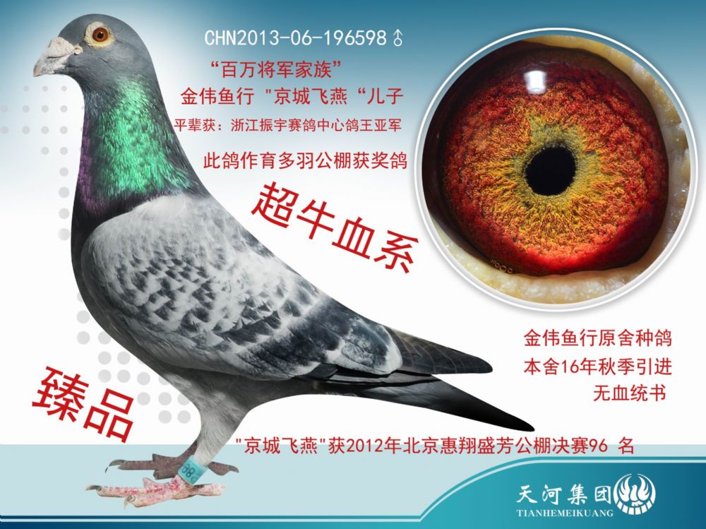 天河煤矿 - 行磐胝固 www.ag188.com