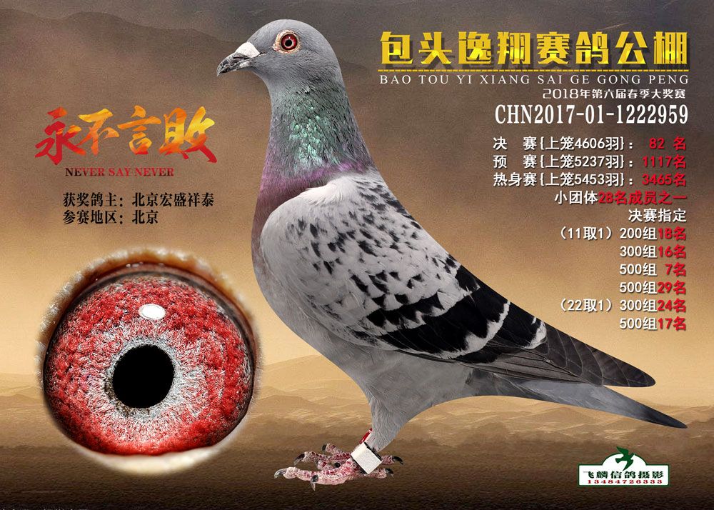 包头逸翔公棚决赛82名