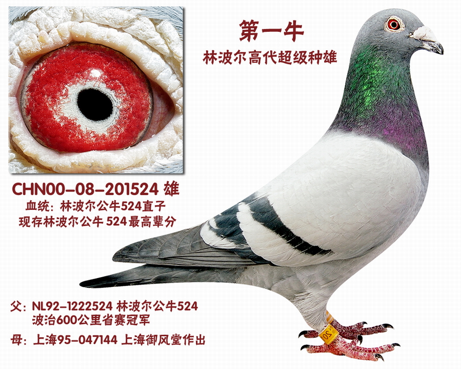 点击查看此商品大图片