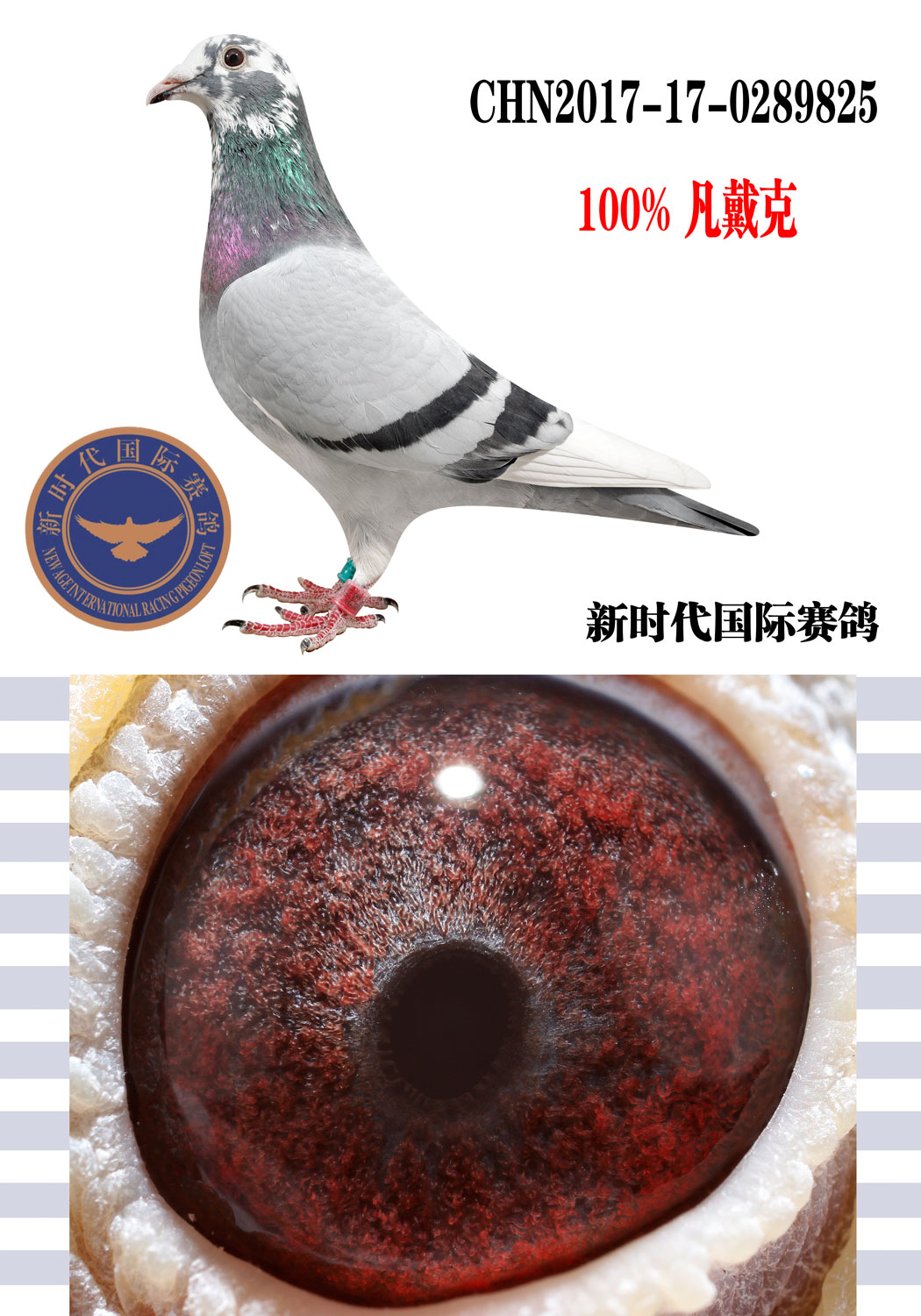 >> 查看拍卖商品