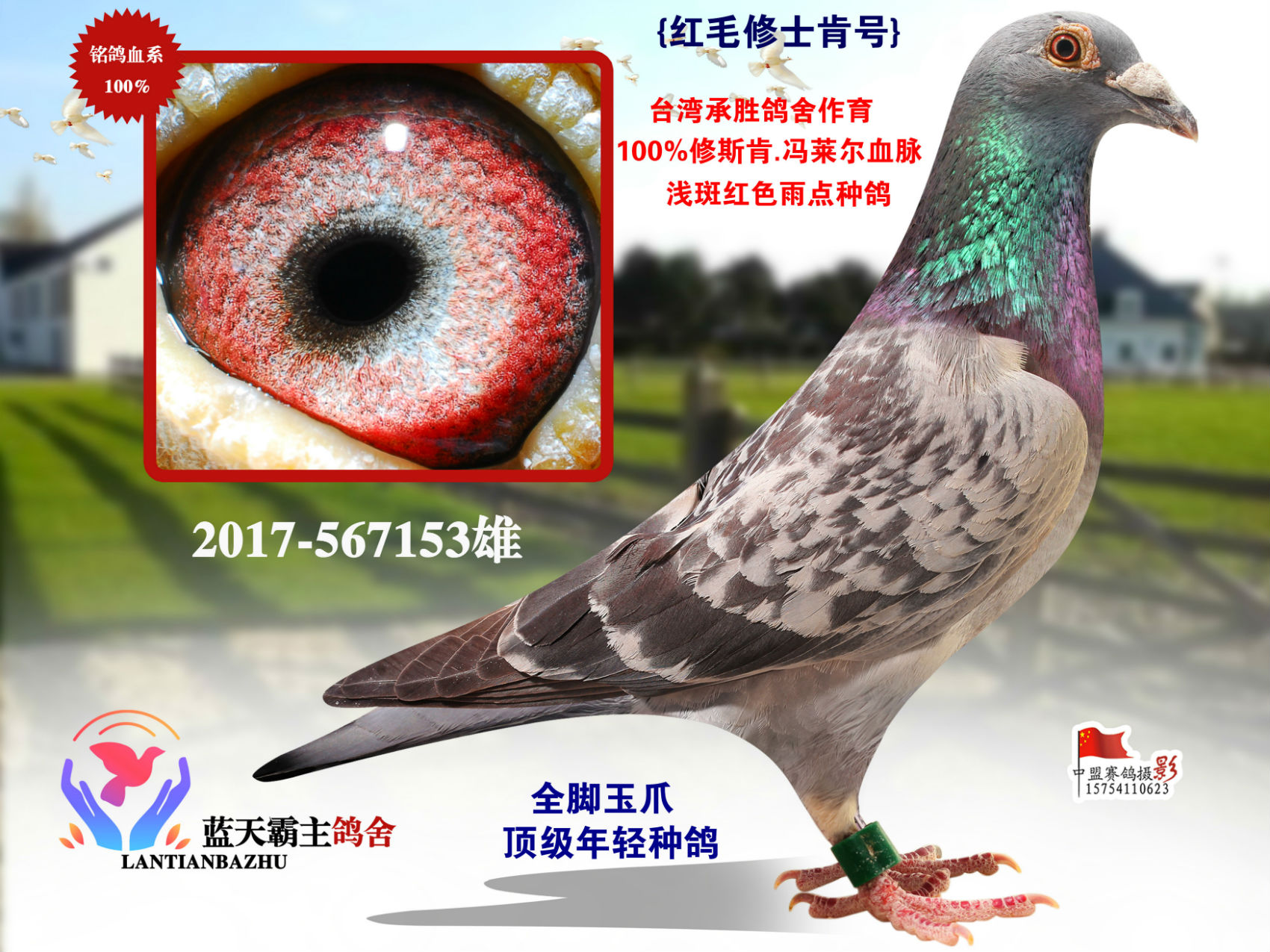 >> 查看拍卖商品