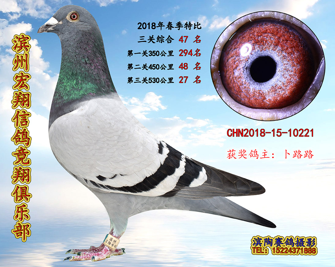 >> 查看拍卖商品