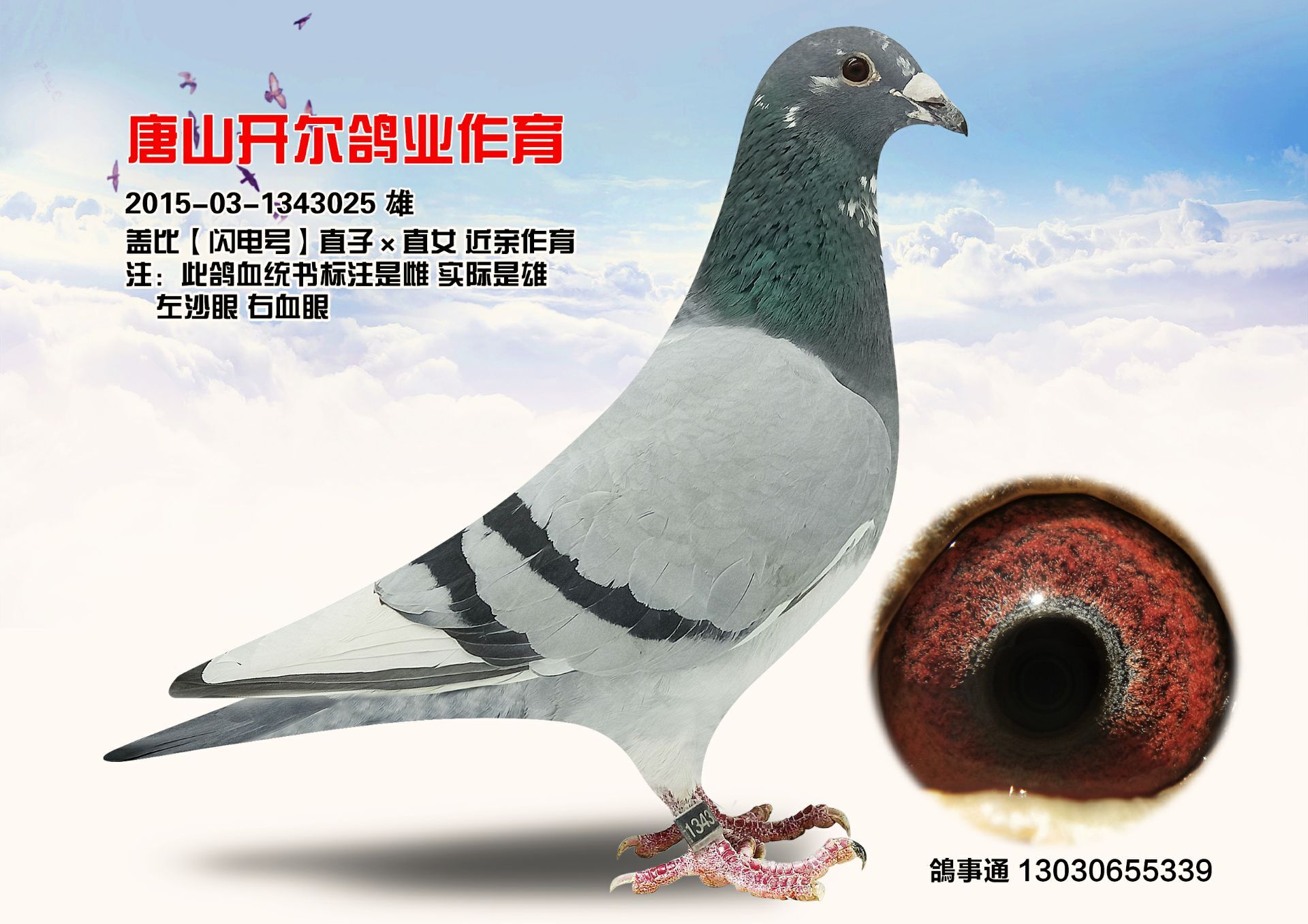 >> 查看拍卖商品