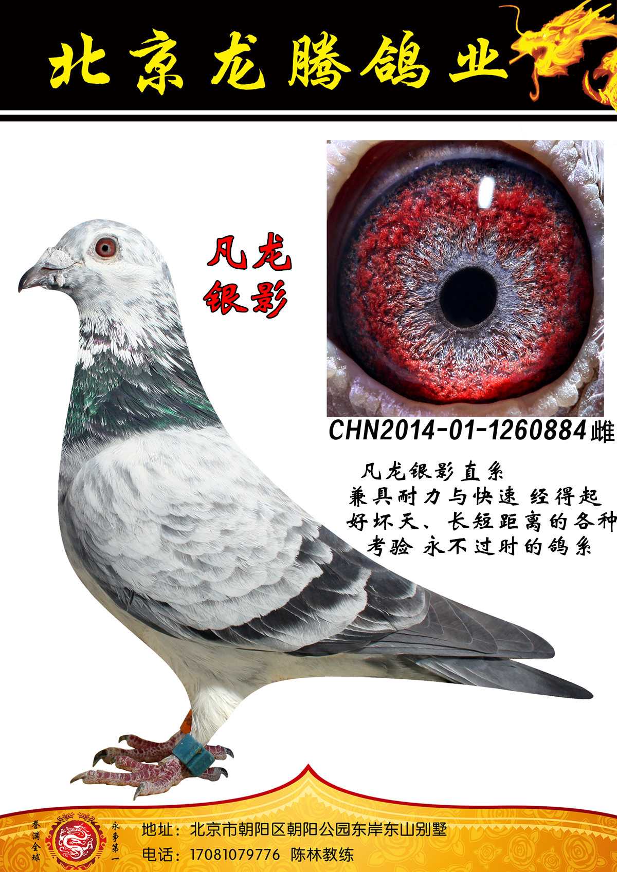 >> 查看拍卖商品