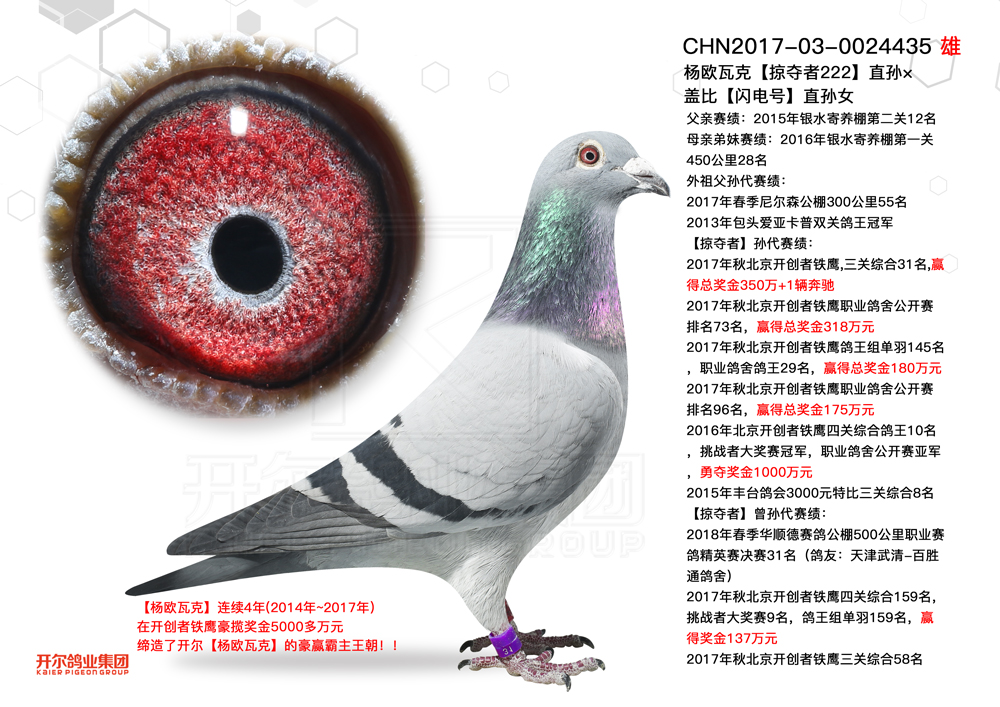 >> 查看拍卖商品