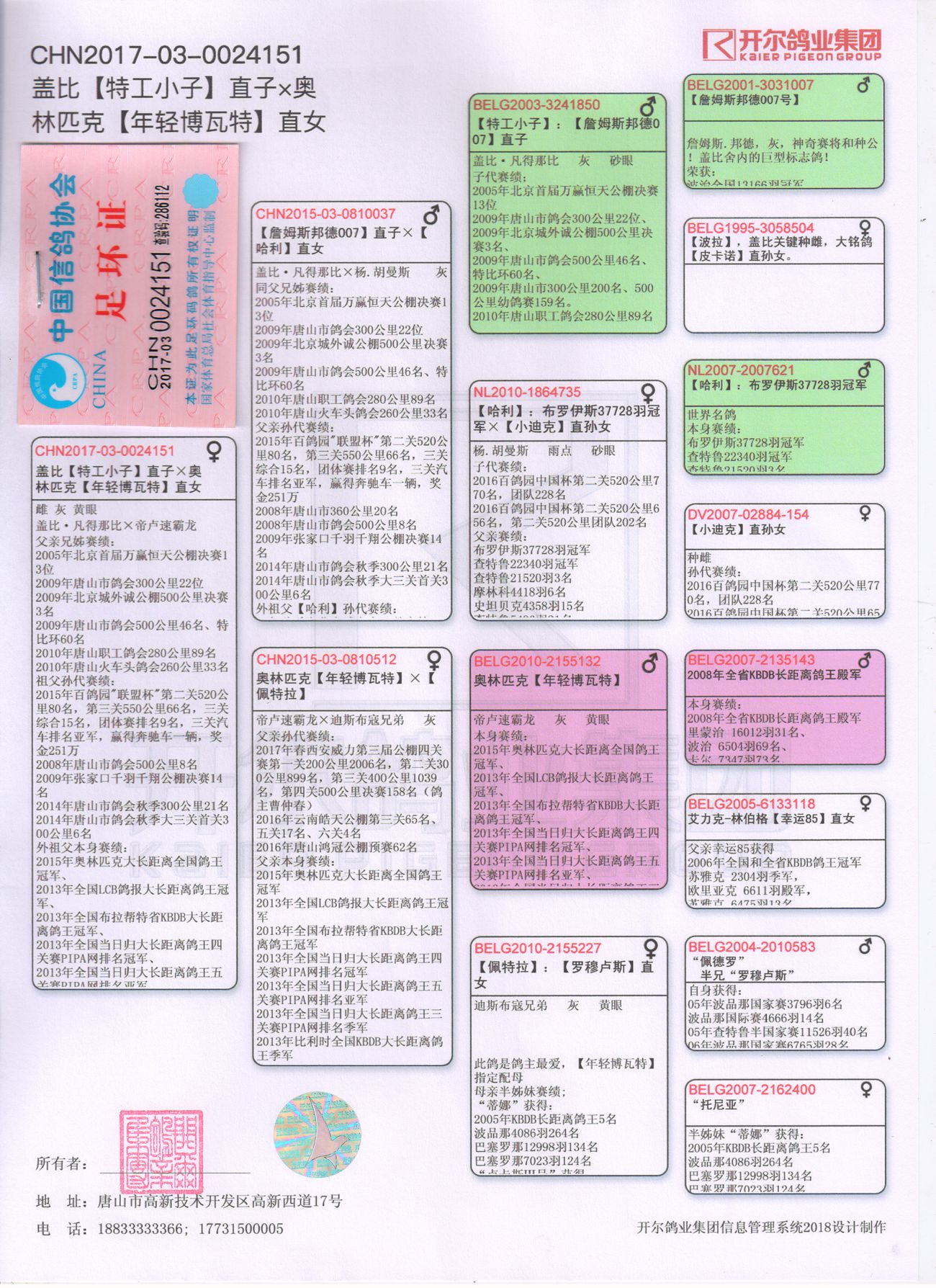 >> 查看拍卖商品