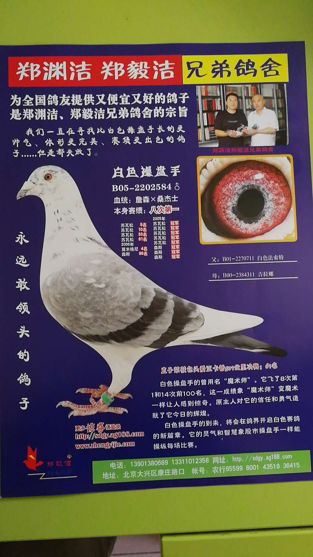 北京郑毅洁铭鸽展厅图片