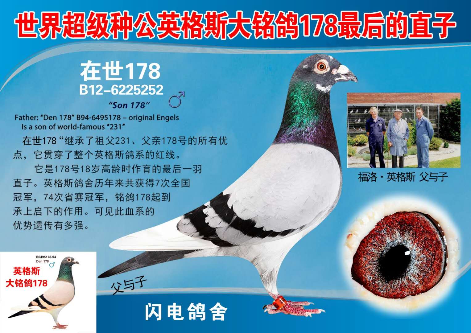点击查看此商品大图片