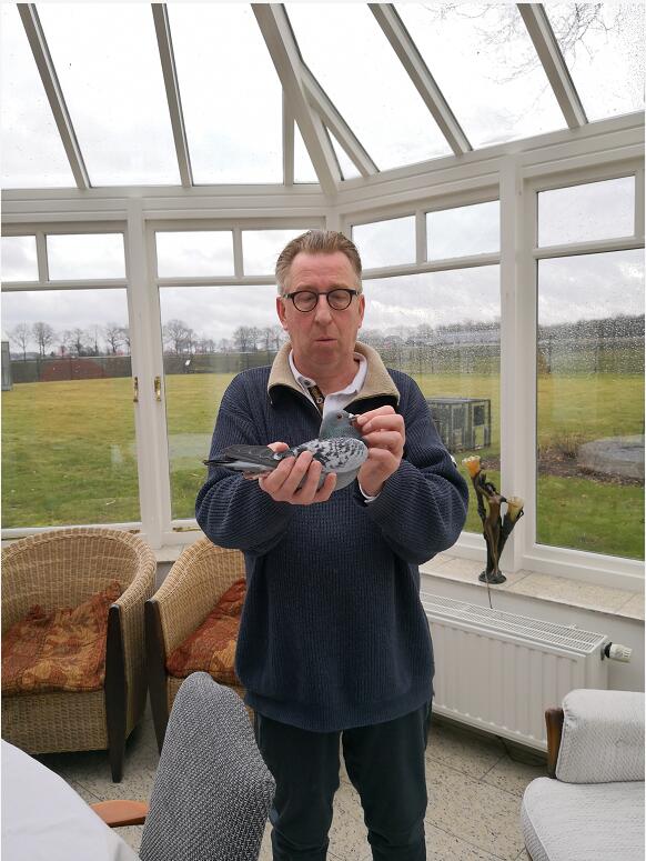 商品 首 页  铭 鸽  新鸽上架  推荐铭鸽  定价鸽  信鸽拍卖 黄金配对