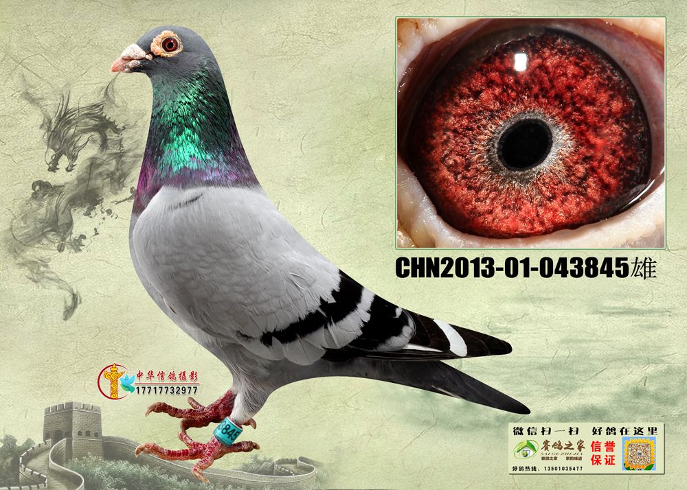 >> 查看拍卖商品