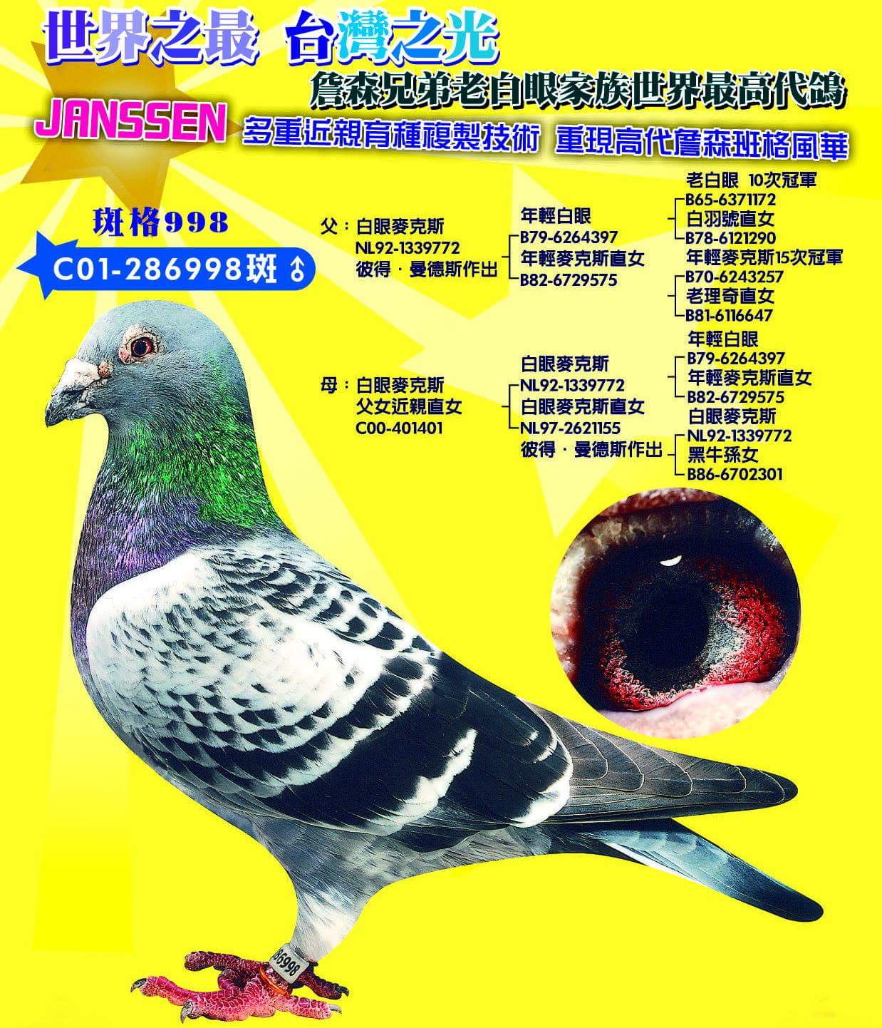 >> 查看拍卖商品