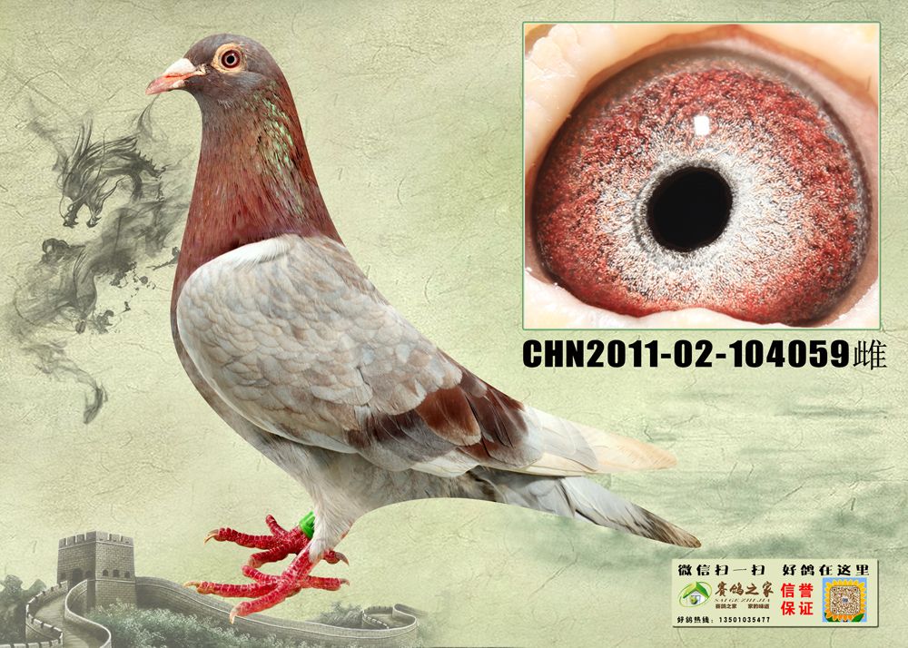 >> 查看拍卖商品