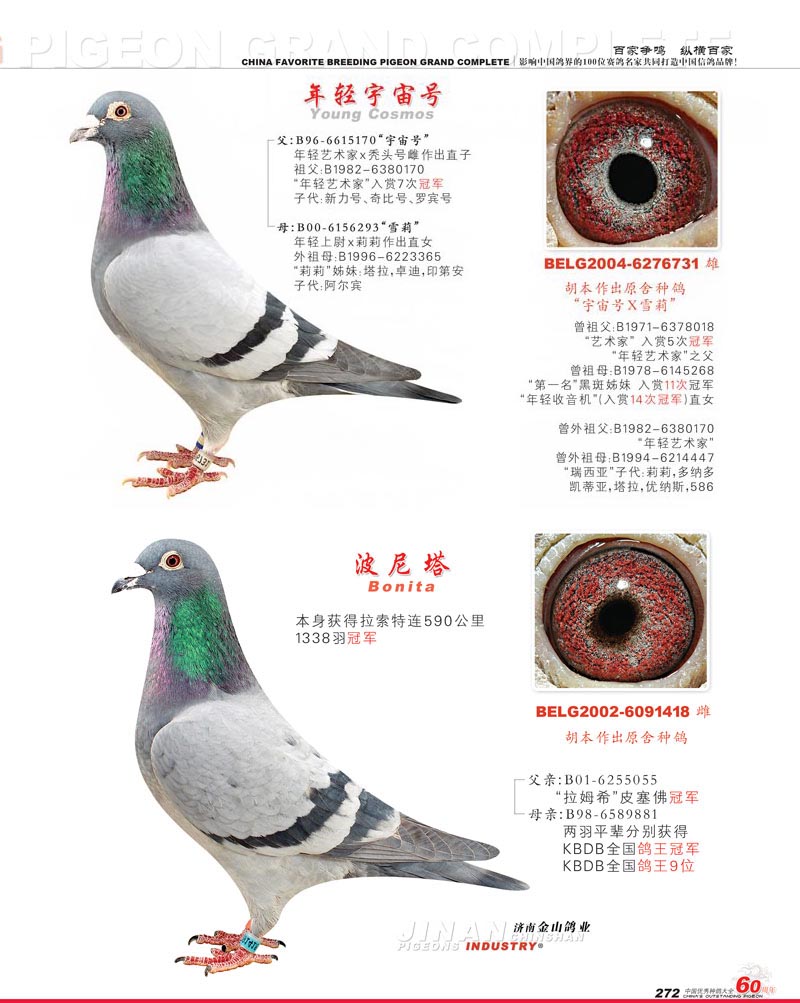 >> 查看拍卖商品