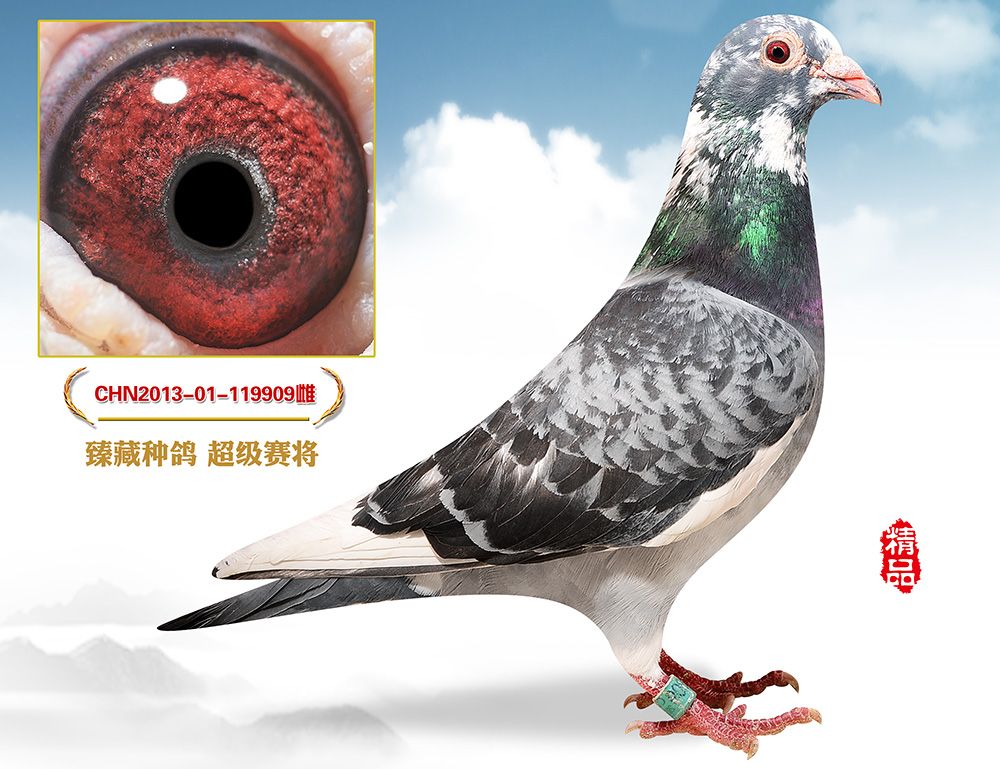 >> 查看拍卖商品