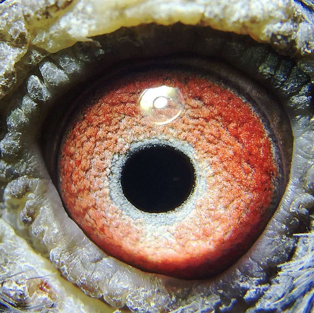 >> 查看拍卖商品