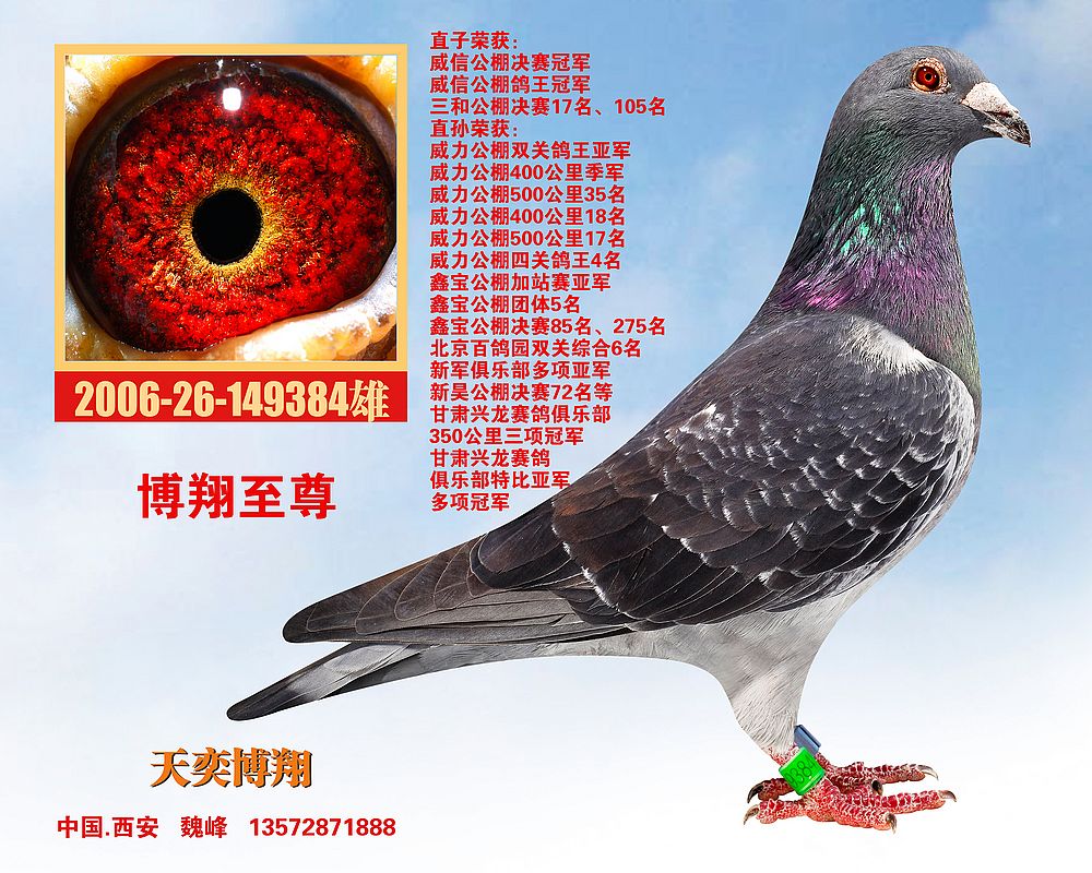 >> 查看拍卖商品