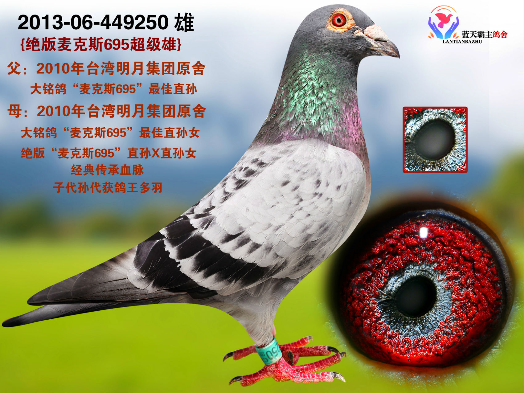 >> 查看拍卖商品