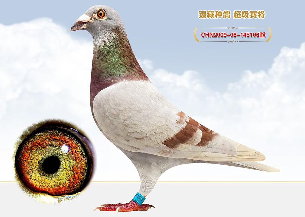 >> 查看拍卖商品