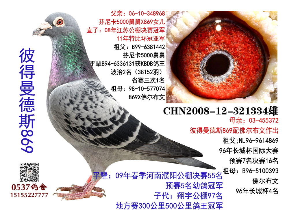 >> 查看拍卖商品