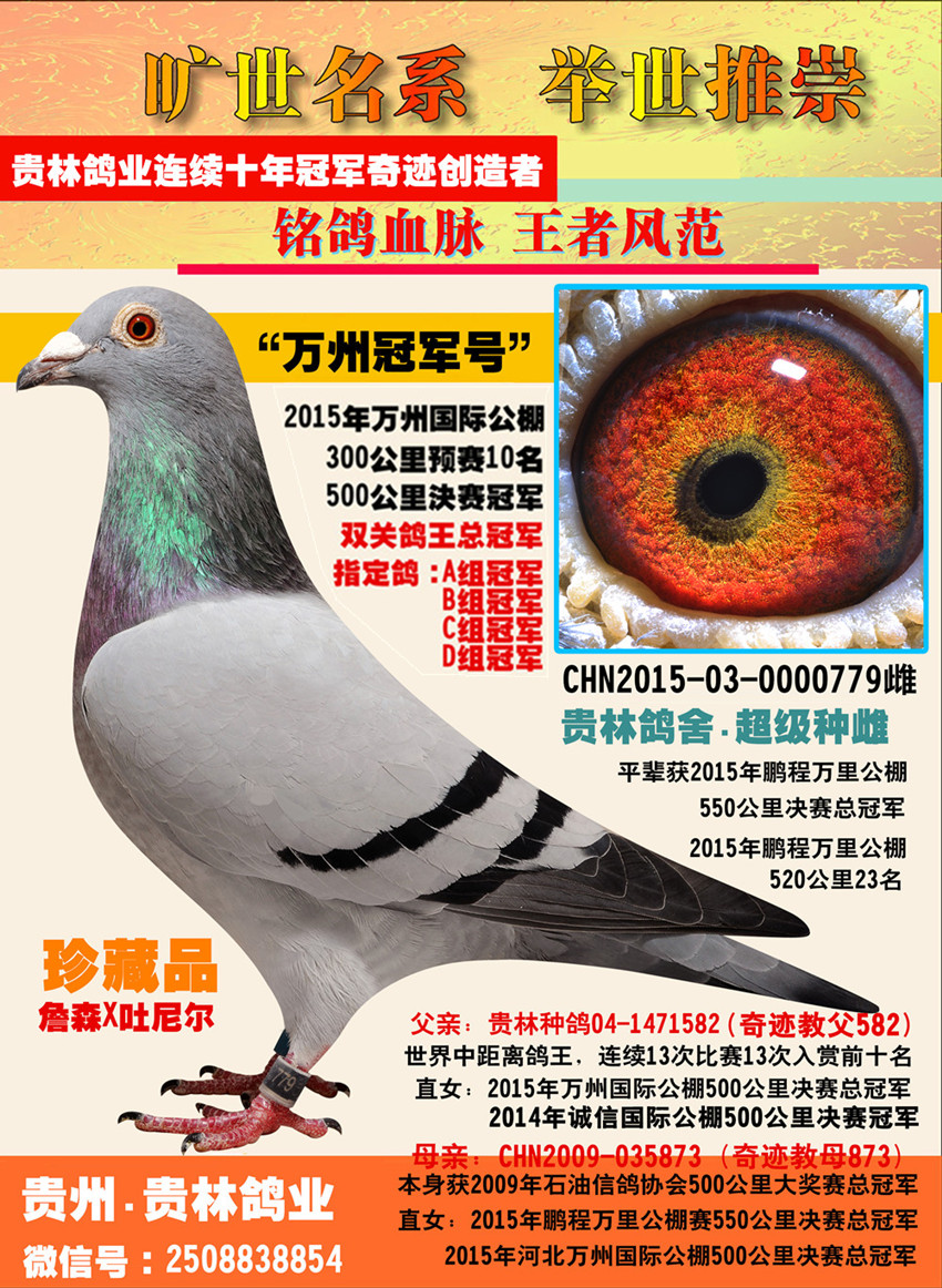 >> 查看拍卖商品