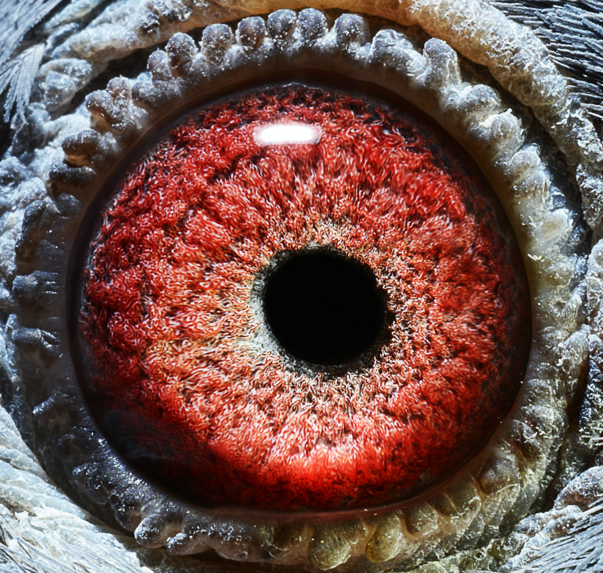 >> 查看拍卖商品