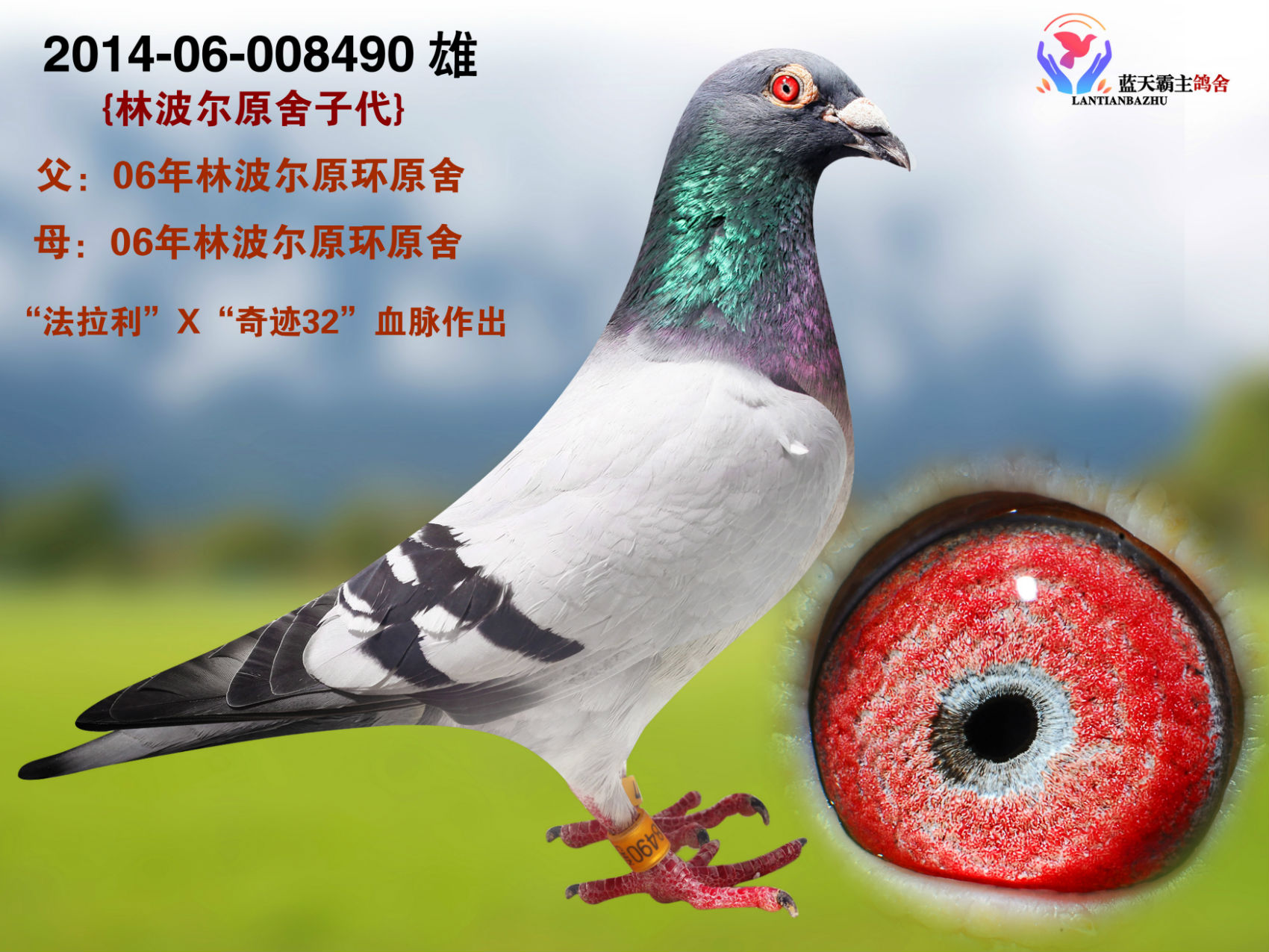 >> 查看拍卖商品