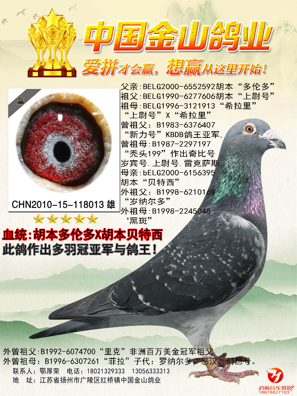>> 查看拍卖商品