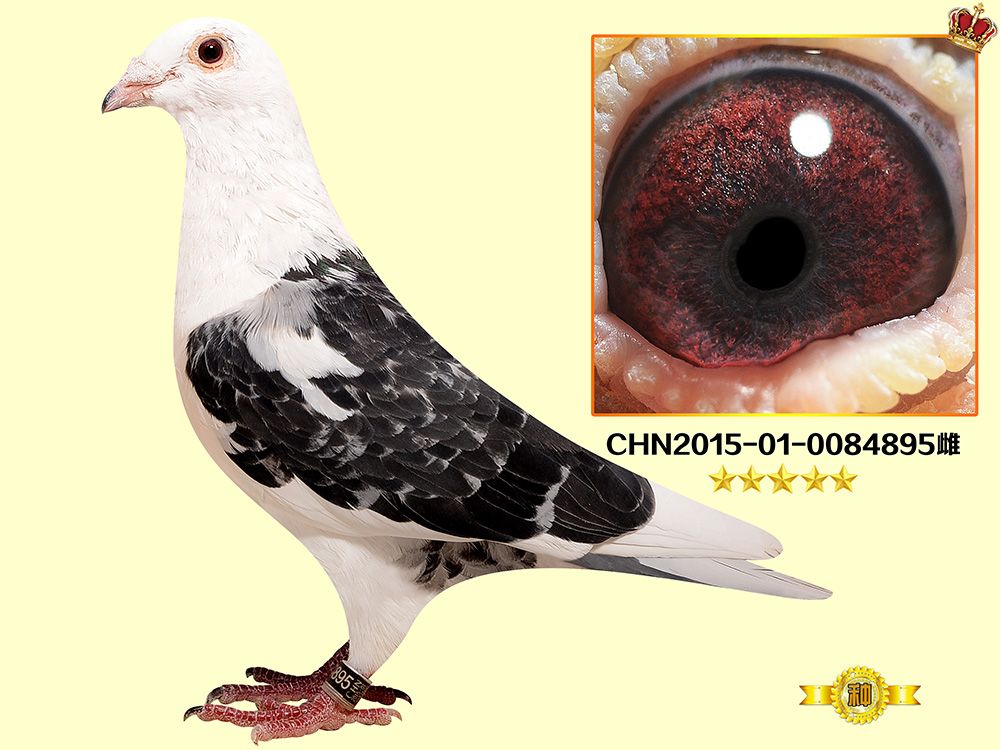 >> 查看拍卖商品