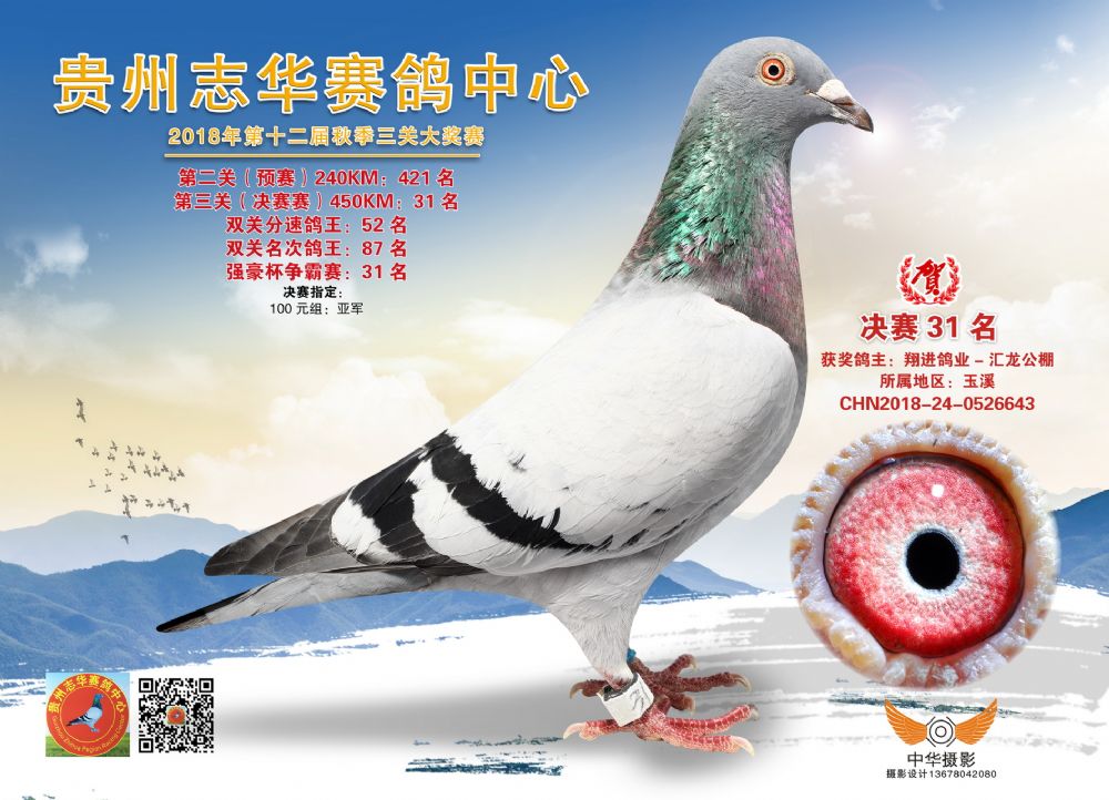 贵州志华决赛31名