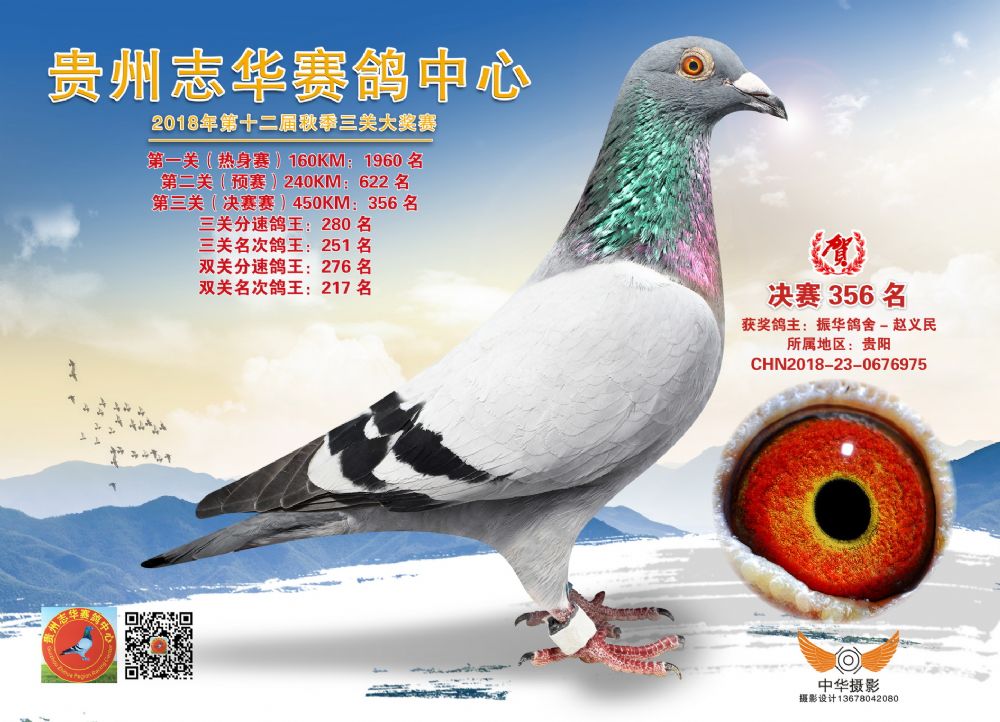 贵州志华决赛356名