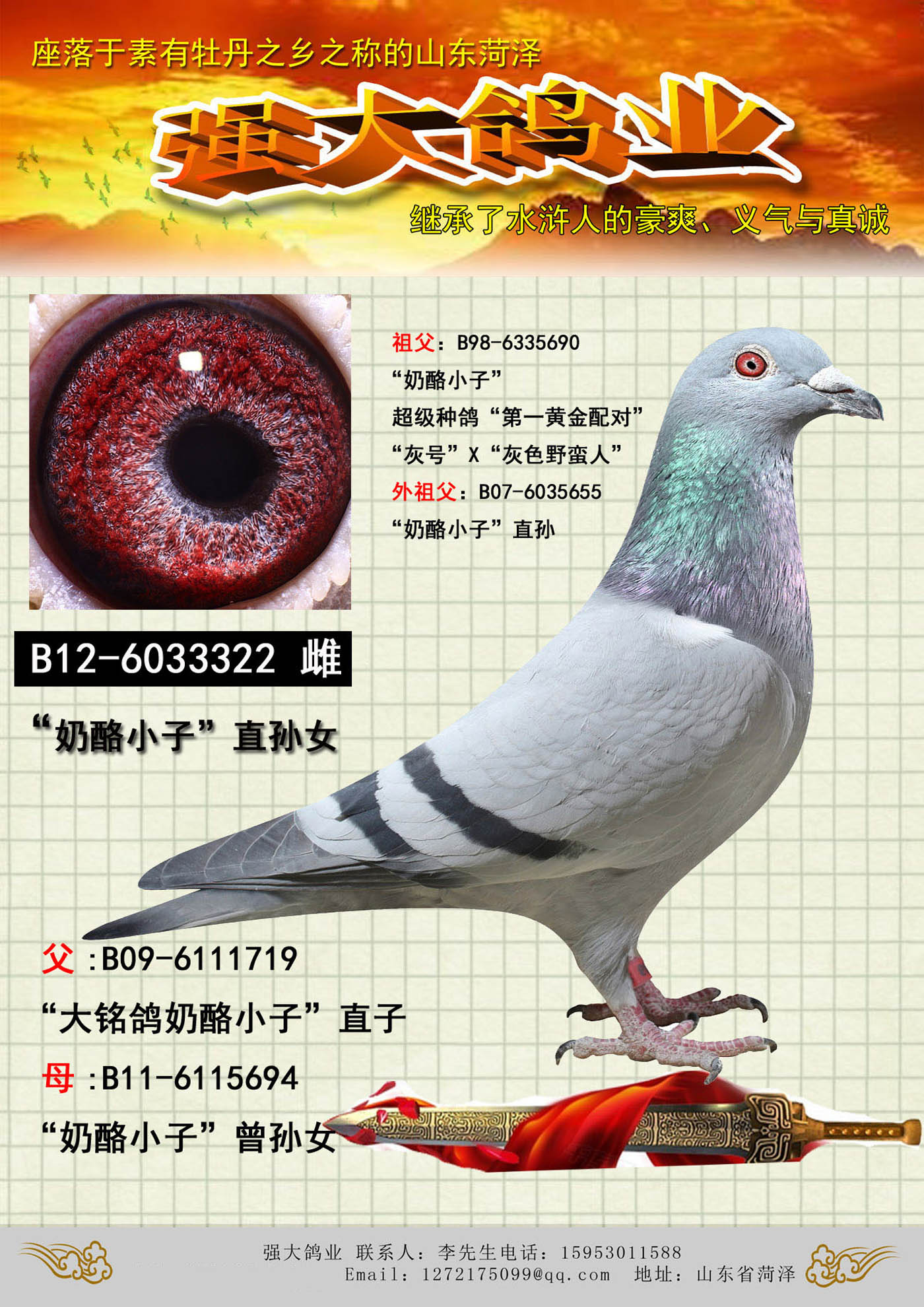 >> 查看拍卖商品