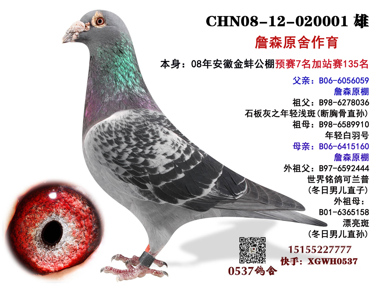 父亲 詹森可兰普