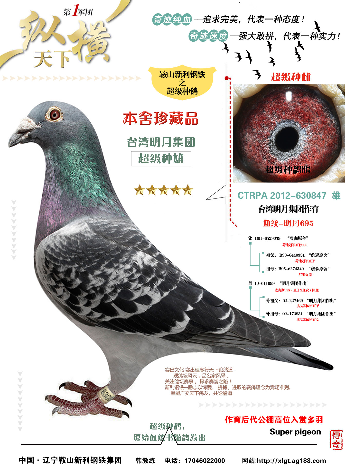 信鸽拍卖首页 拍卖专题 >> 查看拍卖商品 运输及特别提示 本鸽舍在