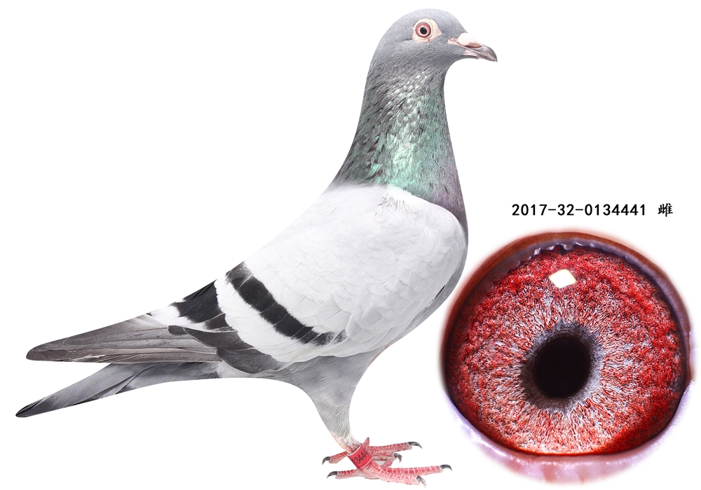 >> 查看拍卖商品