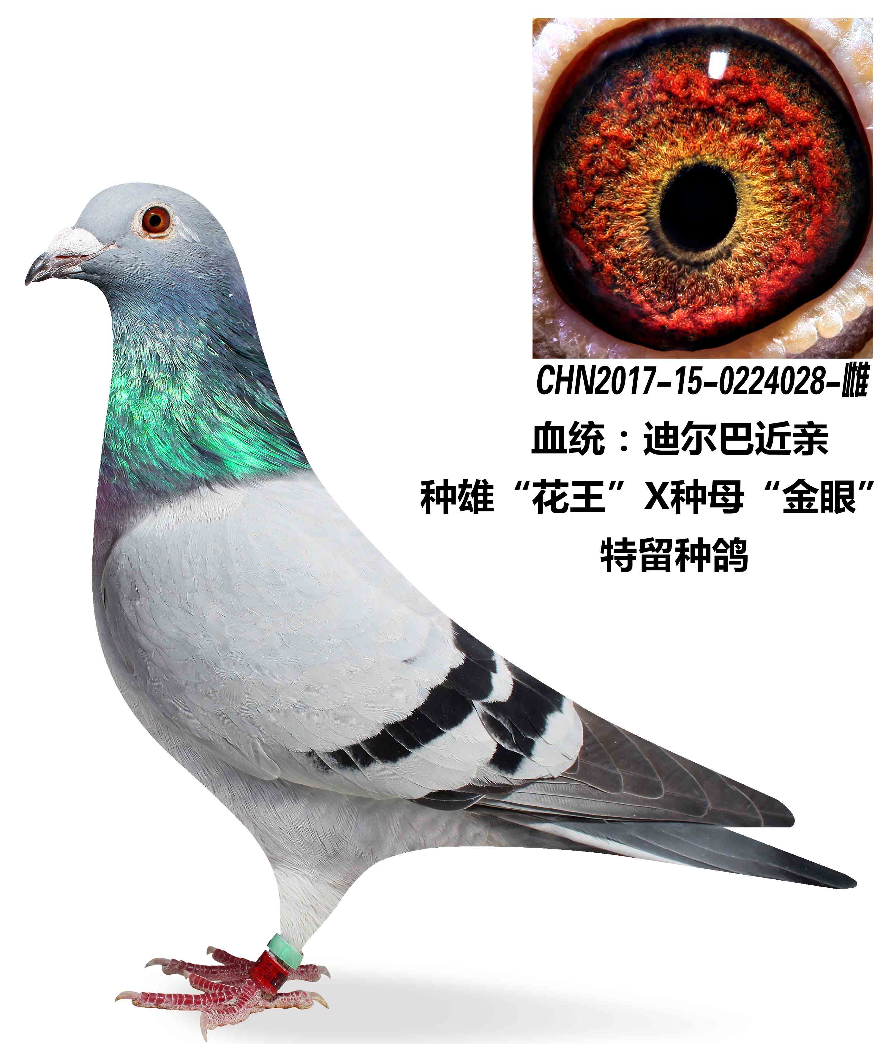 >> 查看拍卖商品